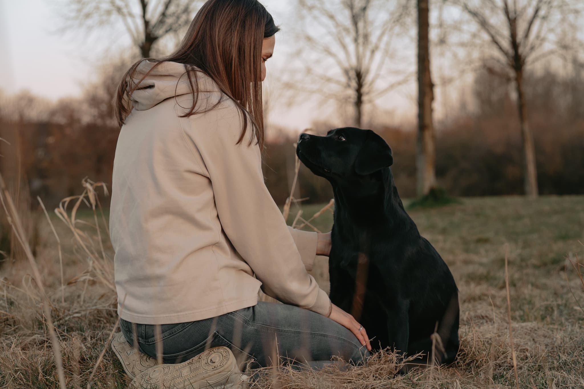 Hundefoto – Aufnahme 15