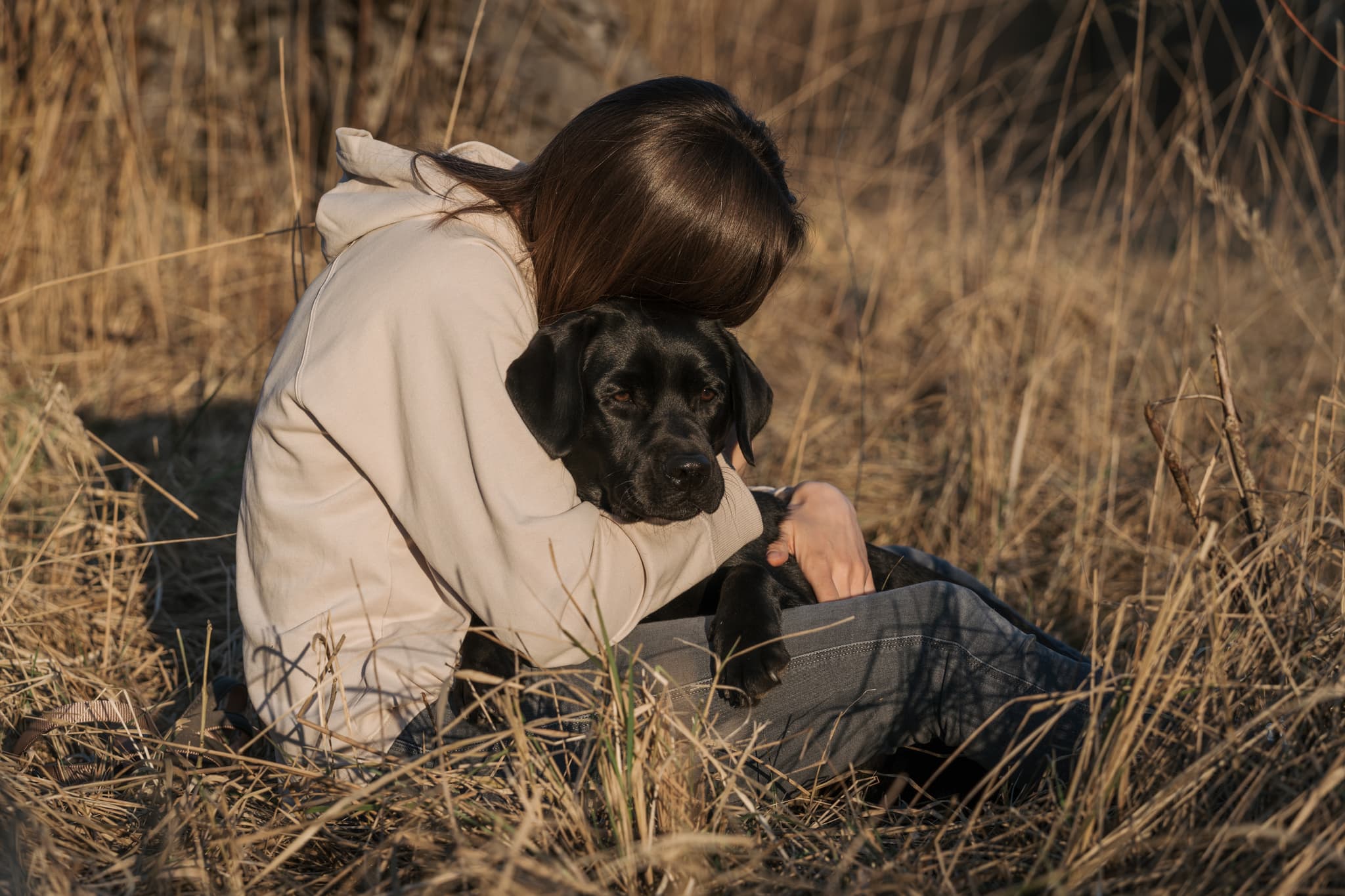 Hundefoto – Aufnahme 19