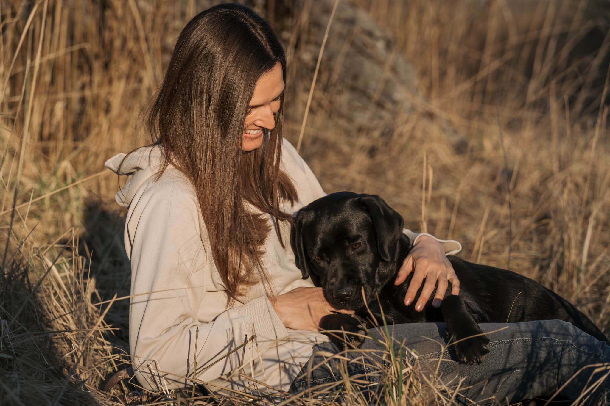 Hundefoto – Aufnahme 18