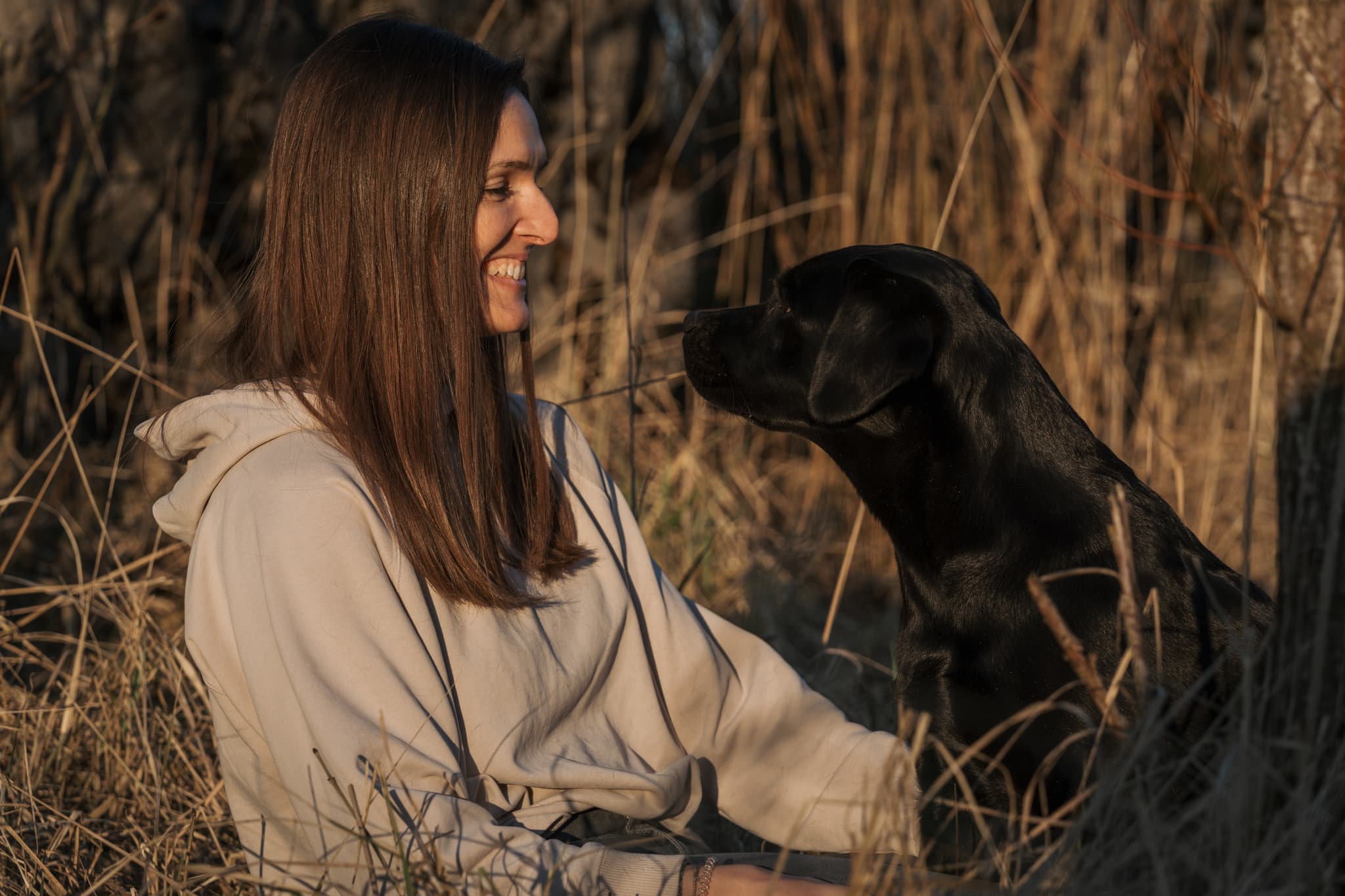 Hundefoto – Aufnahme 20