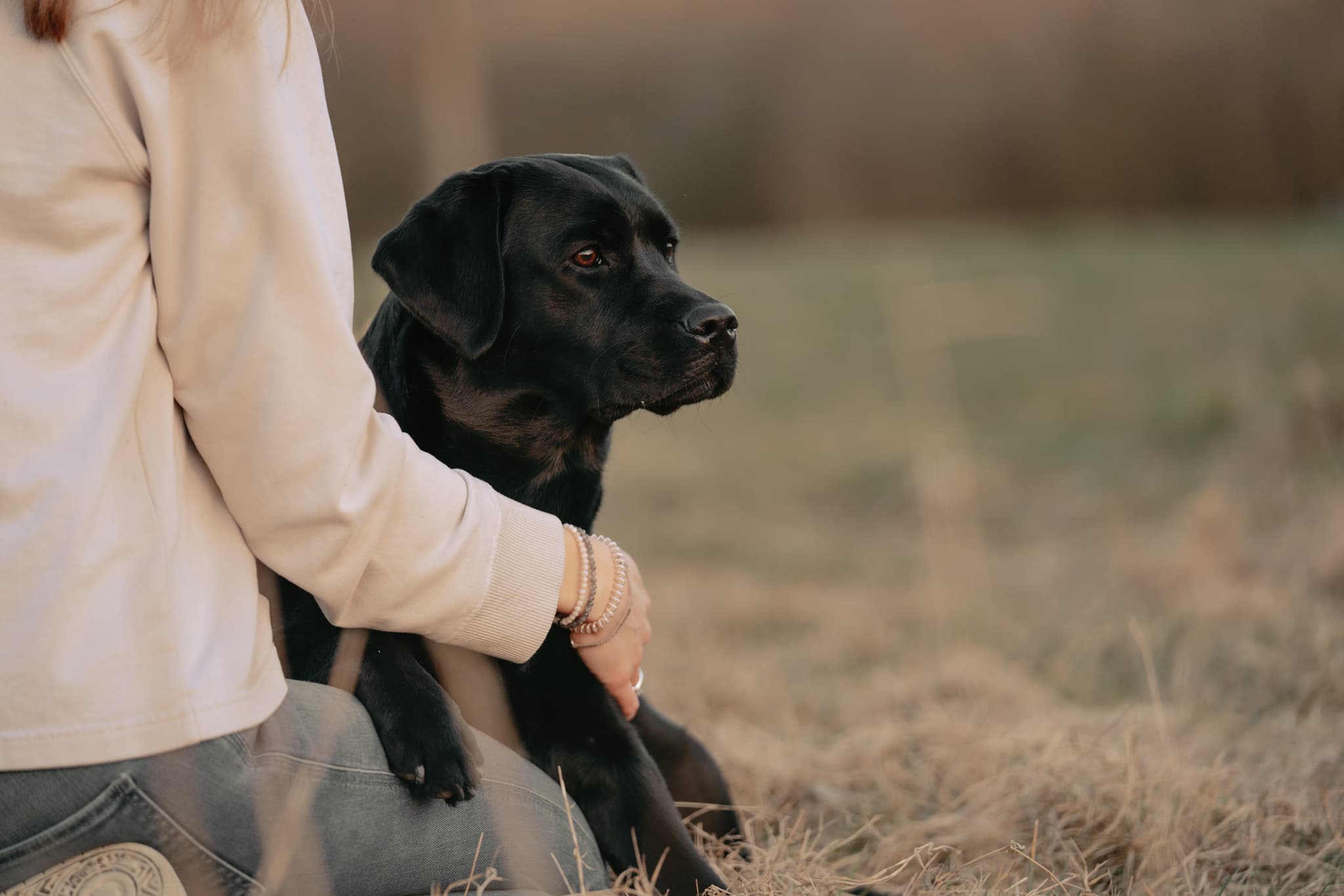 Hundefoto – Aufnahme 11