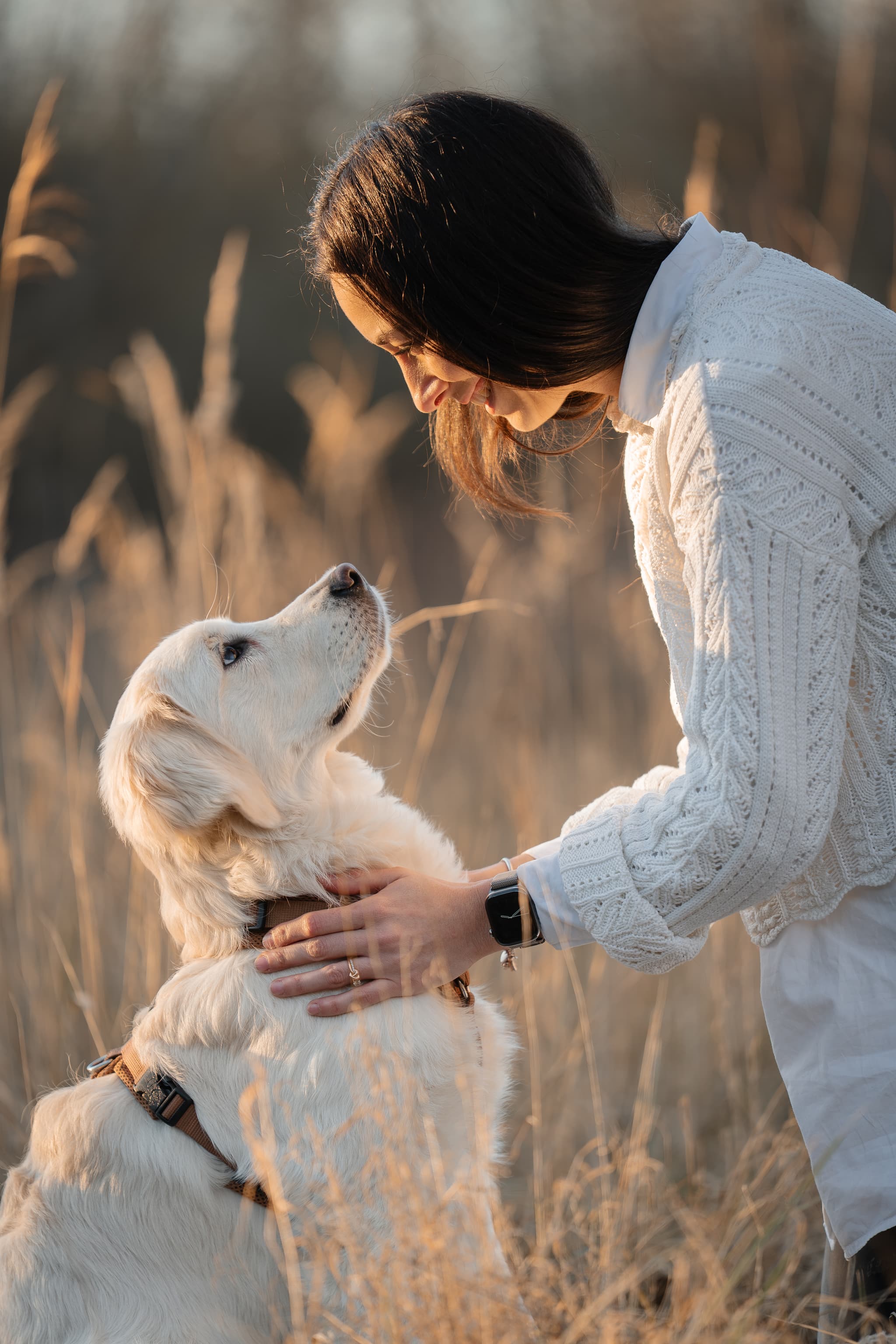 Hundefoto – Aufnahme 4