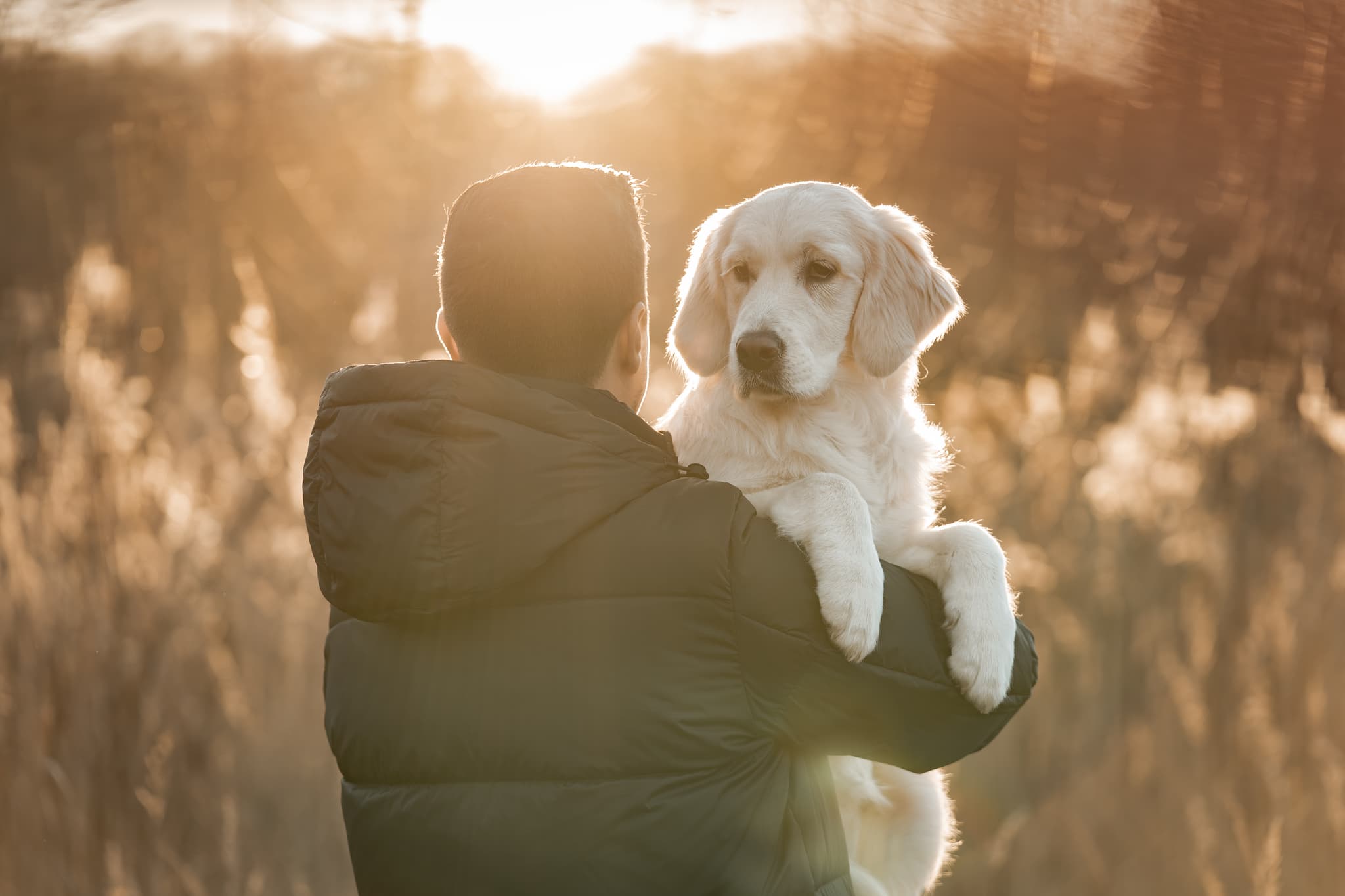Hundefoto – Aufnahme 6